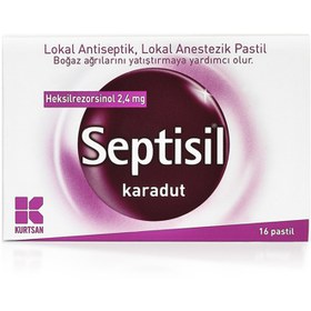 Resim Septisil Karadut 16 Pastil 