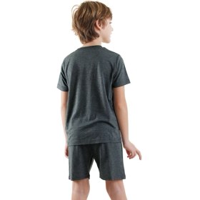 Resim Dinozor Erkek Çocuk Gri Alt Üst Pijama Takım 