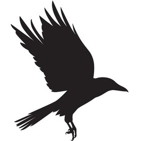 Resim Kuş Folyo Sticker Derstv931 70cm Uzunluk Siyah 