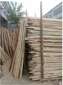 Resim 10 Adet 2 Metre Ahşap Direk Ahşap Direk Fidan Destek Kazıkları 