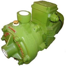 Resim Alem Bertola Rd 1.5Hp Monofaze Santrifüj Pompa 