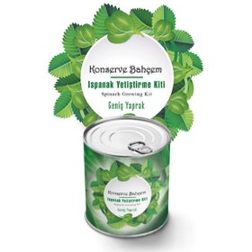 Resim EASERA TİCARET Easera ticaret® Konserve Bahçem Evde Konservede Kolay Ispanak Yetiştirme Kiti 