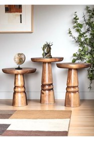 Resim ASELYA HOME Doğal Ahşap 3’lü Set Mantar Yan Sehpa Modern Fiskos Zigon Çiçeklik 