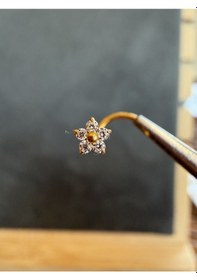 Resim Yüksek Kalite G23 Titanium Beş Taş Papatya Zirkon 6x0.8mm Altın Titanyum Hızma Piercing 