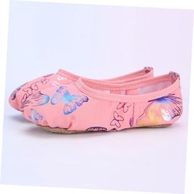 Resim VALICLUD 2 Bale Ayakkabıları Taban Bale Ayakkabısı Baskı Tabanı Çocuklar Pointe Ayakkabı Düz Ayakkabılar Dans Topuklu Yürümeye Başlayan Çocuk Dans Bale Daireleri Streç Kayışlar 