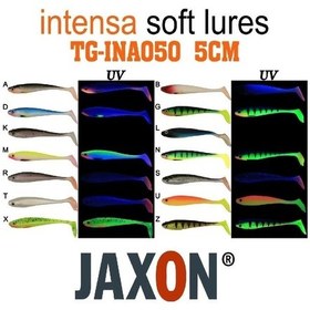 Resim Silikon Balık Jaxon Gummy Intensa Tg-ına050 5cm 5 Li Pk Renk:d 