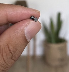 Resim 316 L Cerrahi Çelik Tragus Helix Kıkırdak Conch Minik Yıldız Piercing Gümüş - Bronz 