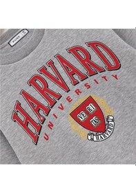 Resim Wanex Erkek Çocuk Şardonlu Uzun Kol Kalın Bisiklet Yaka Sweatshirt - 16213 Gri Melanj 