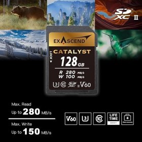 Resim Exascend Catalyst 128 GB SDXC UHS-II V60 hafıza kartı 4K UHD 100 MB/s'ye kadar yazma hızı, UHS-II, sınıf 10, U3, V60 kamera hafıza kartı 