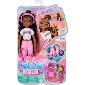 Resim Jfx97 Brooklyn-barbie Dream Besties Paten Partisi Brooklyn Bebek Ve Aksesuarları 