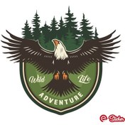 Resim Adventure Camping Off Road Sticker Kartal Eagle Sticker 