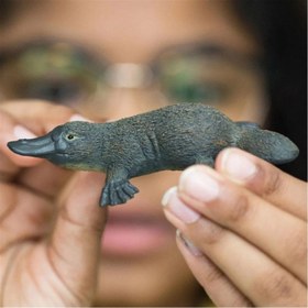 Resim Schleich Ornitorenk 14840 