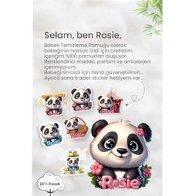Resim SDT Group 11 Al 9 Öde El ve Vücut Kremi Silky Tüp 50 ml ve Rosie 