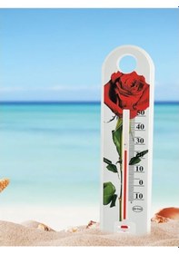 Resim River World Termometre Deseni Gül 