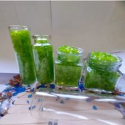 Resim Genel Markalar Epoksicilerin Tercihi Kırık Epoksi Modelleri 100 g r 