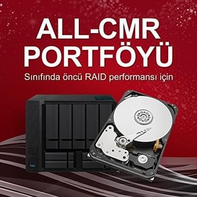 Resim Seagate IronWolf Pro, 12 TB, Kurumsal NAS Dahili Sabit Disk HDD - CMR 3,5”, SATA 6 Gb/sn, 7200 Devir/Dakika, 256 MB Önbellek, RAID Ağa Bağlı Depolama için, Rescue Hizmetleri (ST12000NT001) 