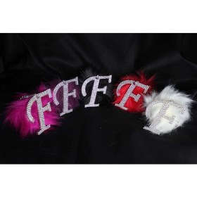 Resim Swarovski Gümüş Taşlı Dikiz Ayna Kolye Süsü Beyaz Tüylü F Harfi 