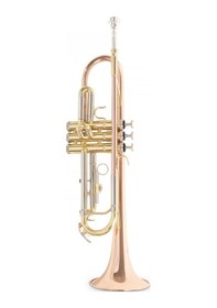 Resim Roy Benson Tr-202g Bb Trompet Gold Brass Altın Pirinç Kalak S 