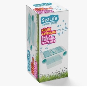 Resim Sealife Küçük Tekli Yavruluk 