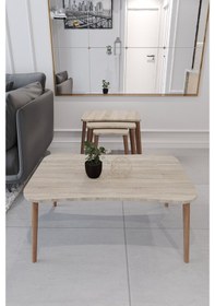 Resim Esma Orta Sehpa Ve Zigon Sehpa 4'Lü Salon Seti - Sonomo 