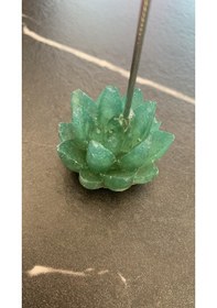 Resim Çimen Yeşili Renk Gasteria Gracilis Şekil Sukulent Epoksi Notluk 