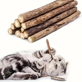 Resim 10 veya 20 adetlik bir set. Kediler için tasarlanmış, diş sağlığı ve rahatlama sağlayan, hoş bir kokuyla, güvenli ve zehirsiz, pil gerektirmeyen, iç mekan oyunları ve çok kedili evlerde rahatlama hediyesi için ideal bir oyuncak. 