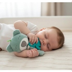 Resim Babyjem Diş Kaşıyıcılı Uyku Arkadaşım 680 Yeşil 