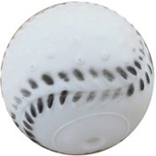 Resim Oyuncak Köpek Beyzbol Top 