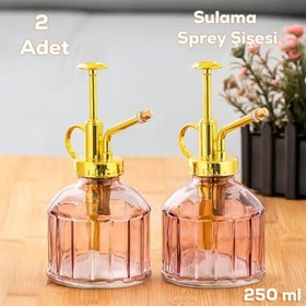Resim Perotti 15733 2'li Mor Vintage Cam Bitki Sulama Şişesi Oda Kokusu Dağıtıcı Cam Dağıtıcı Sprey 250ml 