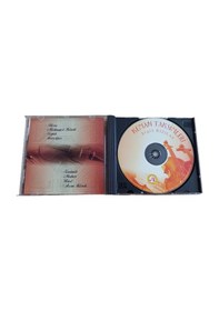 Resim Keman Taksimleri Cd Ergin Kızılay 