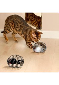 Resim Kedi Oyuncağı Spiral Tel Top & İçinde Peluş Fare Hareketli Zıplayan Kedi Topu, Avcılık İçgüdüsünü Geliştirir, Dayanıklı Metal Yay Top, Kediler İçin Etkileşimli Eğlence Oyuncağı 