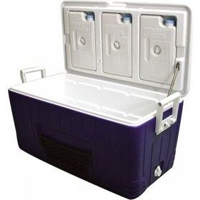 Resim Lalizas Portatif Buzluk 80 Litre 