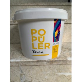 Resim Polisan Popüler Tavan Boyası 10 kg 
