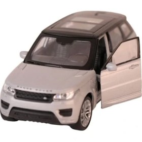 Resim Platin Store Pilatin 698 Back Land Rover Range Rover S Model Araç Zeyd 