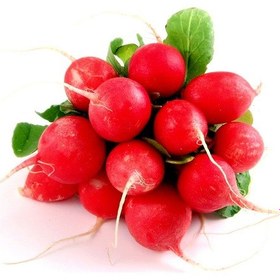 Resim 100 Adet Yerli Kırmızı Fındık Turp Tohumu + Tohumu 