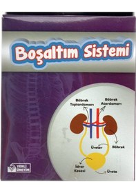 Resim Böbrek Boşaltım Sistemi Deney Seti 