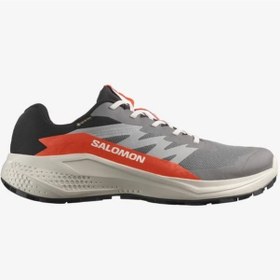 Resim Salomon Alphaglide Gore-tex Erkek Outdoor Koşu Ayakkabısı L47975300 Gri Gri 