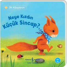 Resim Neye Kızdın Küçük Sincap – İlk Kitaplarım 