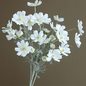 Resim 5 Adet Premium Yapay Kozmos Çiçekleri - Gerçek Dokunuş, Antioksidan Sahte Çiçek Düzenlemeleri Düğünler, Nişanlar, Yıldönümleri & Ev Dekoru için, Pers Çiçekleri, Buket, Dış Mekan Bahçesi 