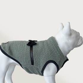 Resim Yumuşak Polarlı Papyonlu Yeşil Köpek Kıyafeti - S 