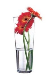 Resim Paşabahçe 43177 Cam Vazo - Botanica Vazo 26 Cm. Diğer 