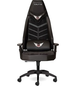 Resim Calitte Profesyonel Oyuncu Koltuğu | Titan Tt Eco | Kumaş 