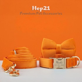 Resim Dog Collar Named Orange Velvet Collar 865315 - Leash + Bow Tie + Leash Rope / L 