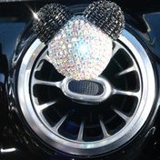 Resim TASARIM ARABAM ATİKE ELİF AKIN Panda Koku Kulakları Siyah Taş & Yaldız Taş Bagetsiz 