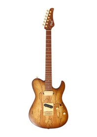 Resim Fujigen Iliad Elektro Gitar Eılew1hsrm/hcb 
