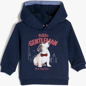 Resim Erkek Bebek Kapüşonlu Baskılı Uzun Kollu Sweatshirt 