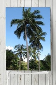 Resim Postermanya (pster8762) Tayland Manzara Posteri (90x130cm) 