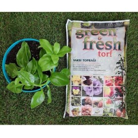 Resim Fresh Torf 3 Lt Çiçek Toprağı Saksı Toprağı Torf Toprağı 