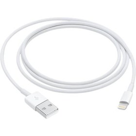 Resim Apple Lightning - USB Kablosu 1m (Apple Türkiye Garantili) MQUE2ZM/A 