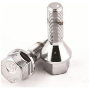 Resim Mga-77173 - Bijon Civatası Cms Kromajlı- Aa.19 M12 1.25 B-30 